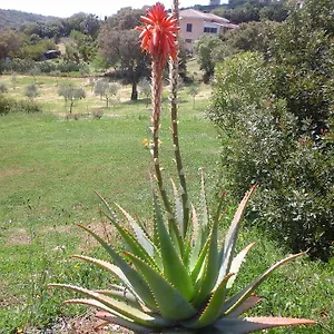 https://agriturismo-valverde-di-naitana-rita.hotelsalgherosardinia.com